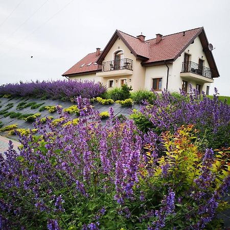 Apartamenty, Zielone Wzgorze Wiktora W Mikolajkach Mikołajki Buitenkant foto