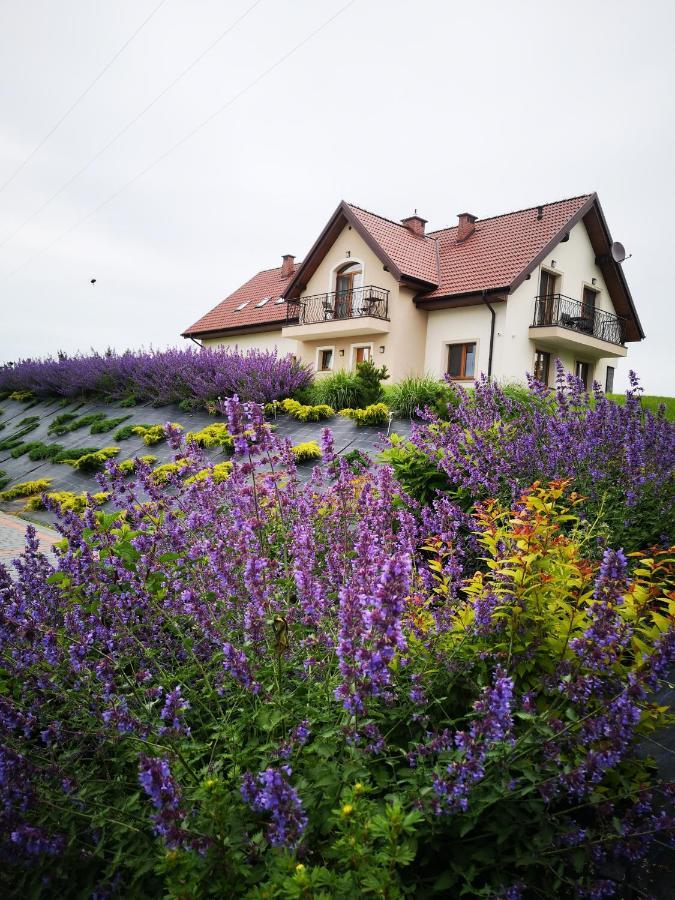 Apartamenty, Zielone Wzgorze Wiktora W Mikolajkach Mikołajki Buitenkant foto