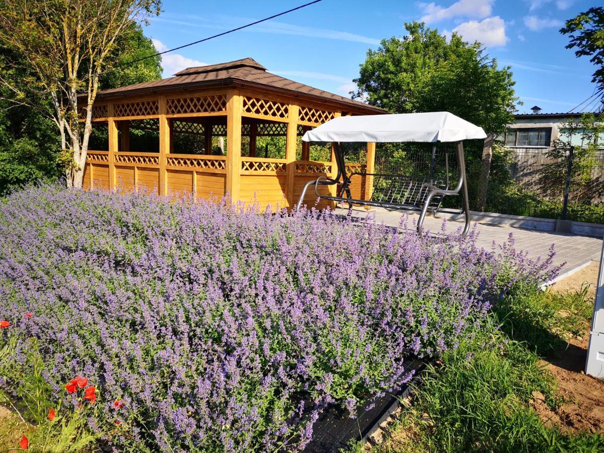 Apartamenty, Zielone Wzgorze Wiktora W Mikolajkach Mikołajki Buitenkant foto